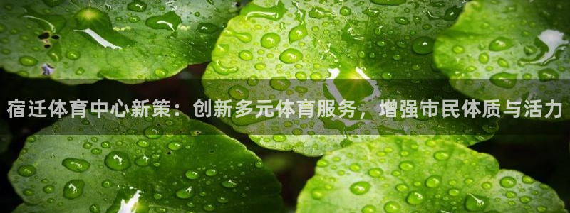 bbin视讯游戏平台：宿迁体育中心新策：创新多元体育服务，增强市民体质与活力