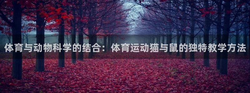 bbin视讯游戏平台：体育与动物科学的结合：体育运动猫与鼠的独特教学方法