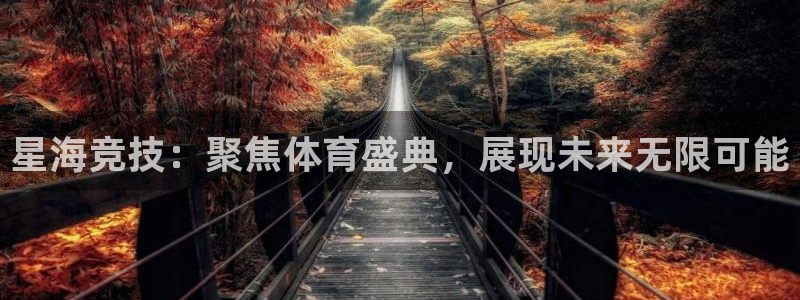 bbin视讯游戏官网：星海竞技：聚焦体育盛典，展现未来无限可能