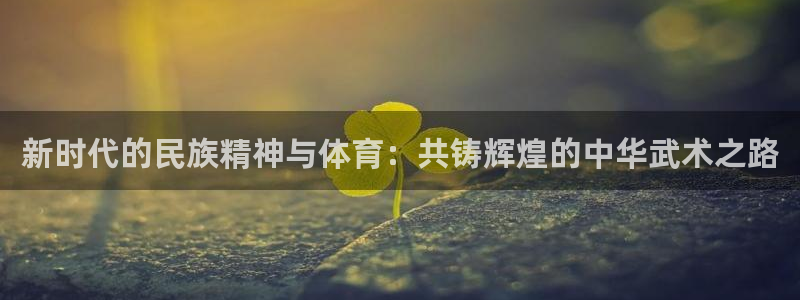 bbin视讯：新时代的民族精神与体育：共铸辉煌的中华武术之路