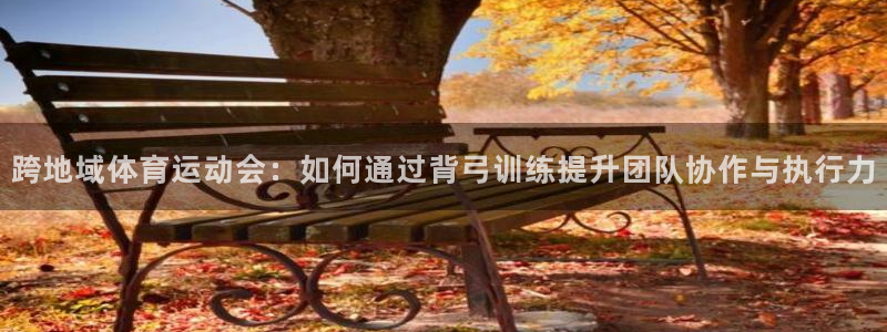 bbin视讯游戏平台：跨地域体育运动会：如何通过背弓训练提升团队协作与执行力