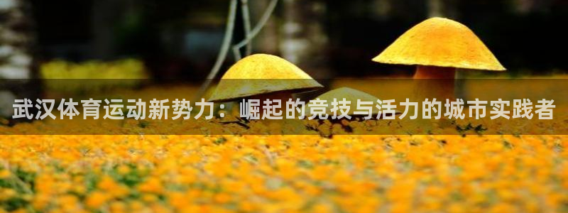 bbin视讯游戏平台：武汉体育运动新势力：崛起的竞技与活力的城市实践者
