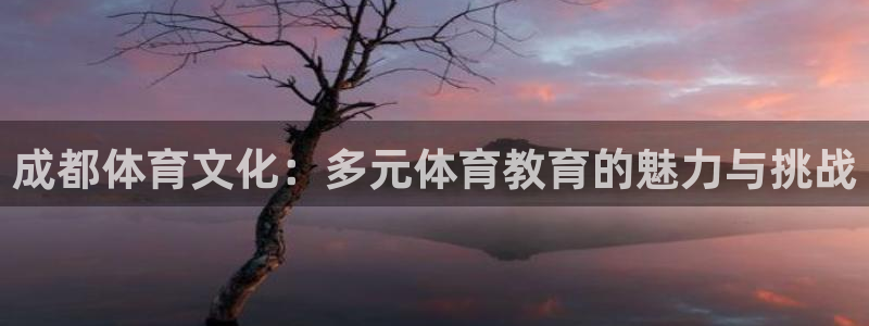 bbin视讯下：成都体育文化：多元体育教育的魅力与挑战