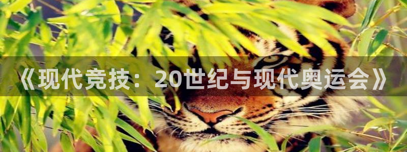 bbin视讯下：《现代竞技：20世纪与现代奥运会》