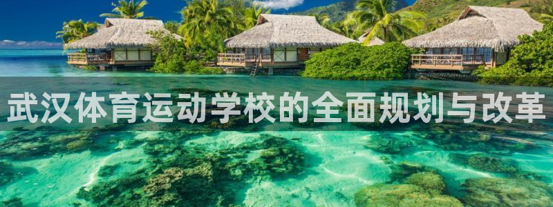 bbin视讯下：武汉体育运动学校的全面规划与改革
