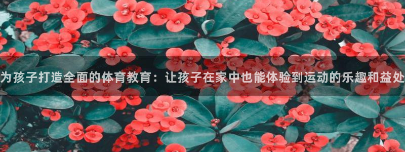 bbin视讯下：为孩子打造全面的体育教育：让孩子在家中也能体验到运动的乐趣和益处